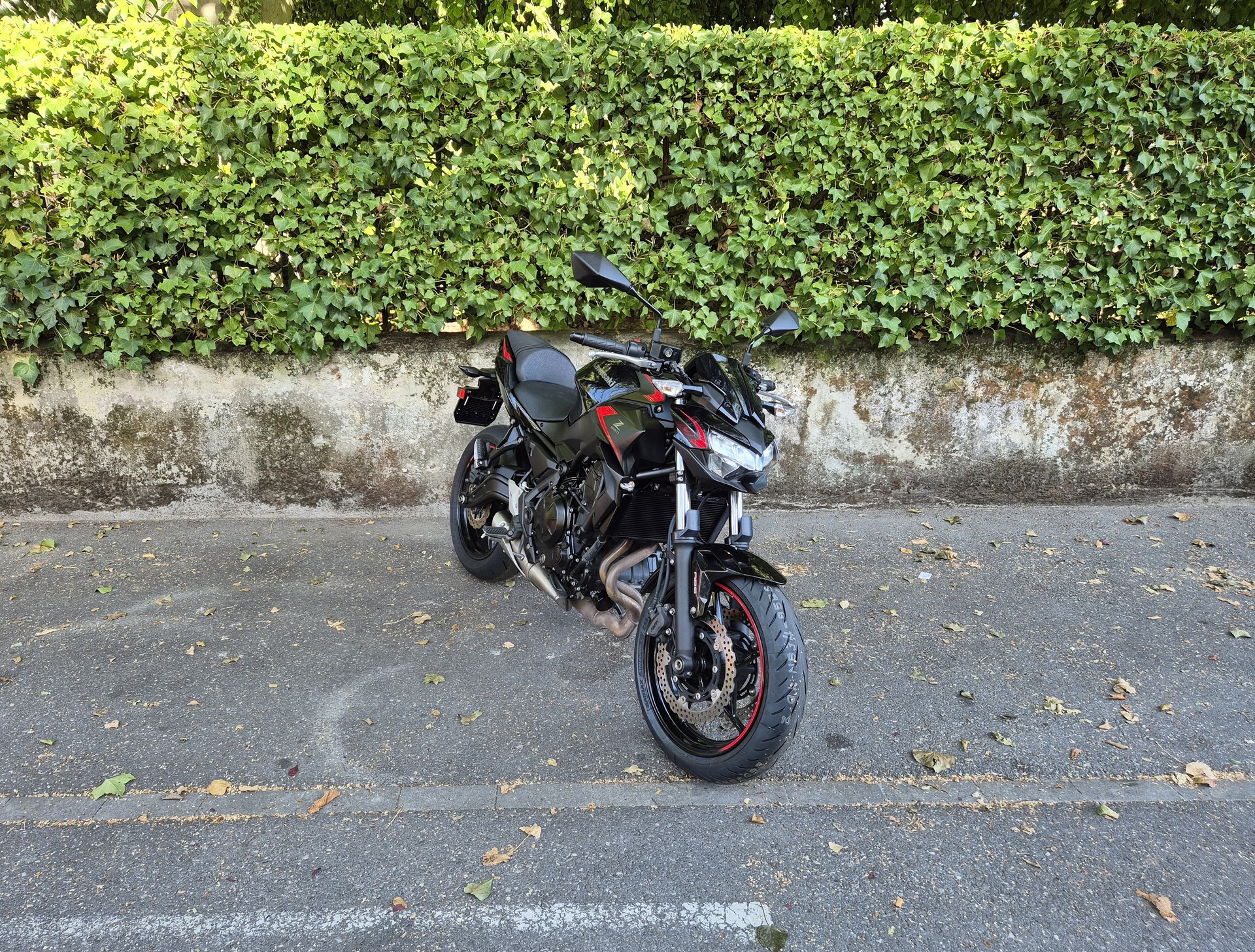 KAWASAKI Z 650 (35kW)-image-5