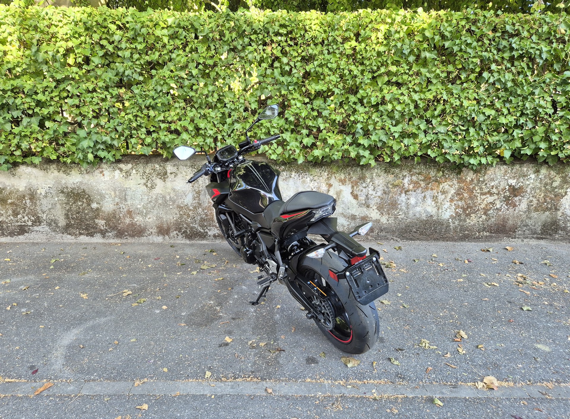 KAWASAKI Z 650 (35kW)-image-2