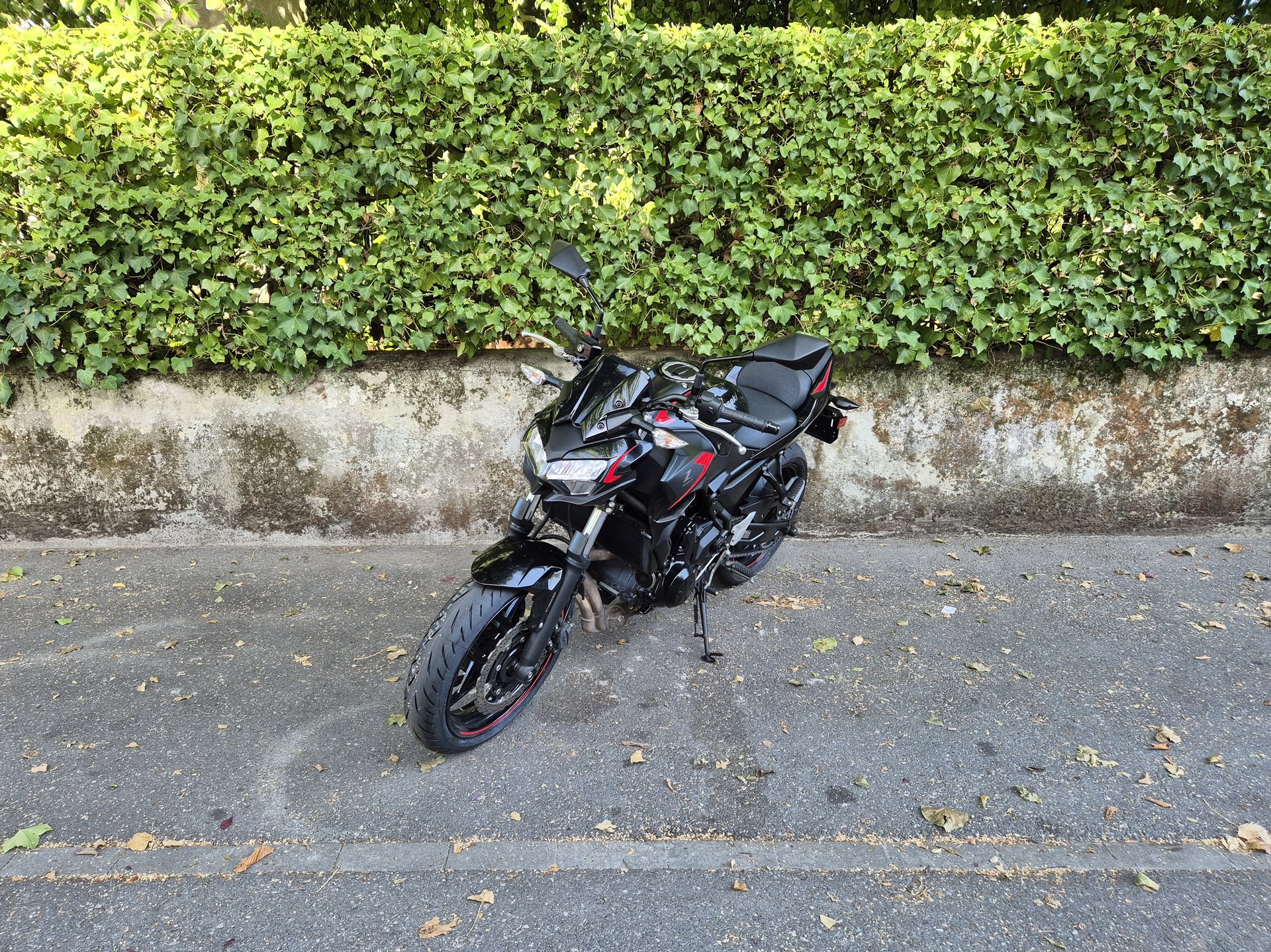 KAWASAKI Z 650 (35kW)-image-4