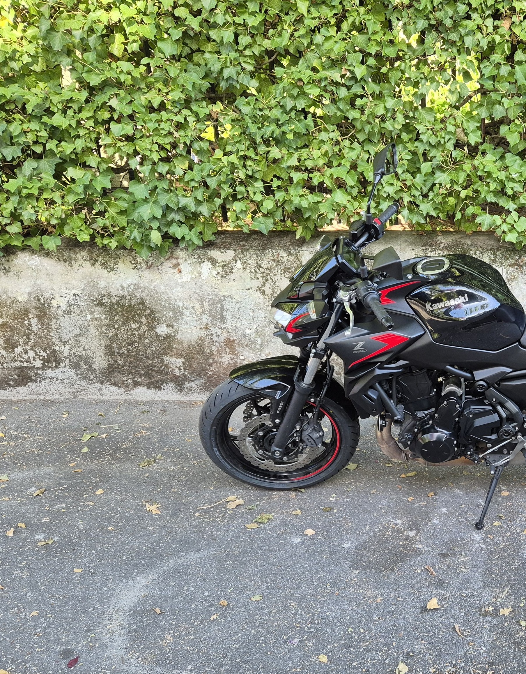 KAWASAKI Z 650 (35kW)-image-9