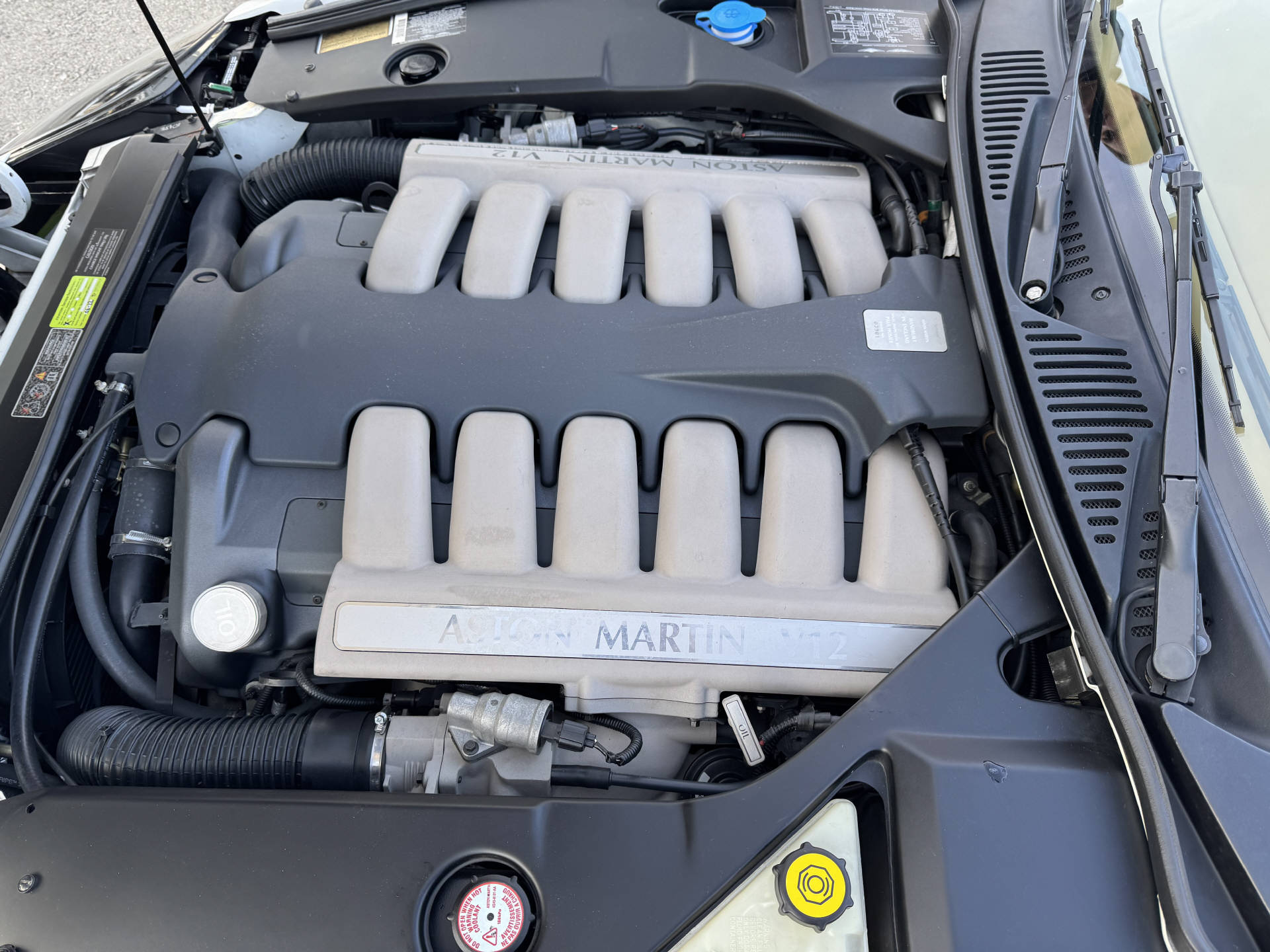 ASTON MARTIN DB7 Vantage Cabrio-image-13