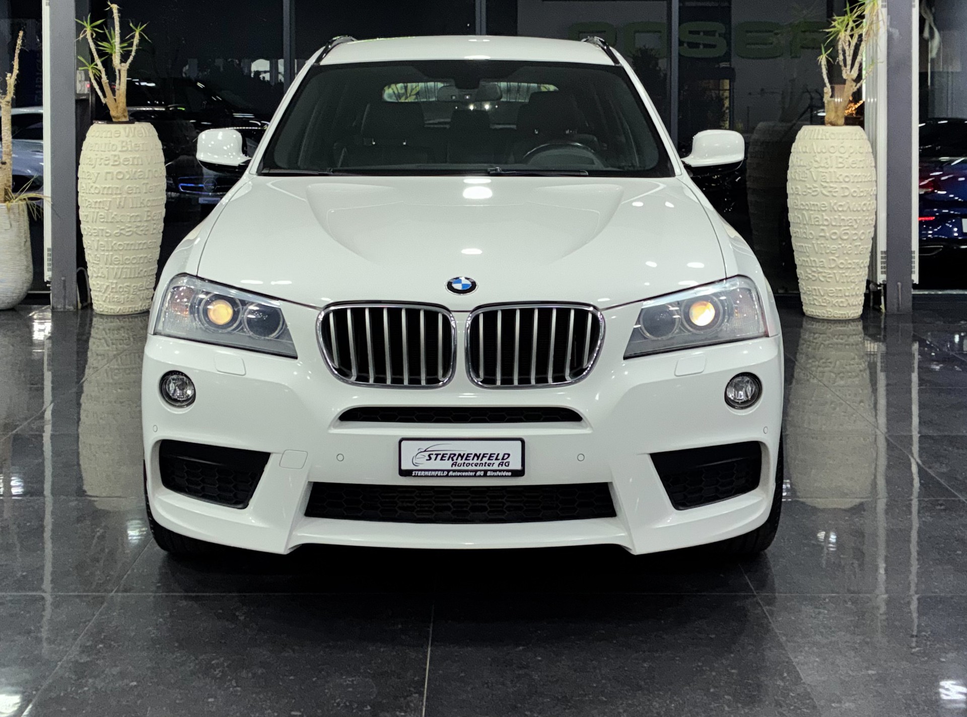 BMW X3 xDrive 30d Steptronic-image-1