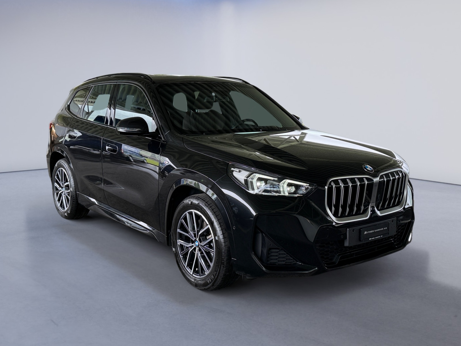 BMW X1 23i xDrive paddles-image-6