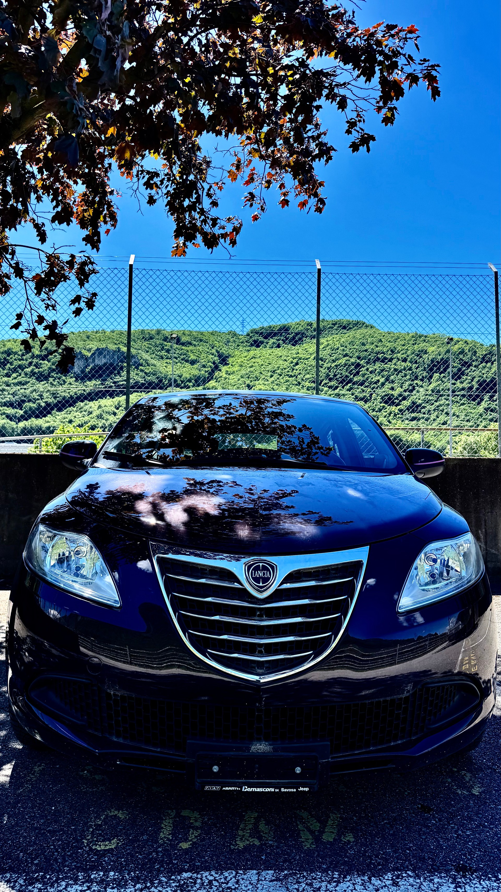 LANCIA Ypsilon 1.2 Gold-image-1