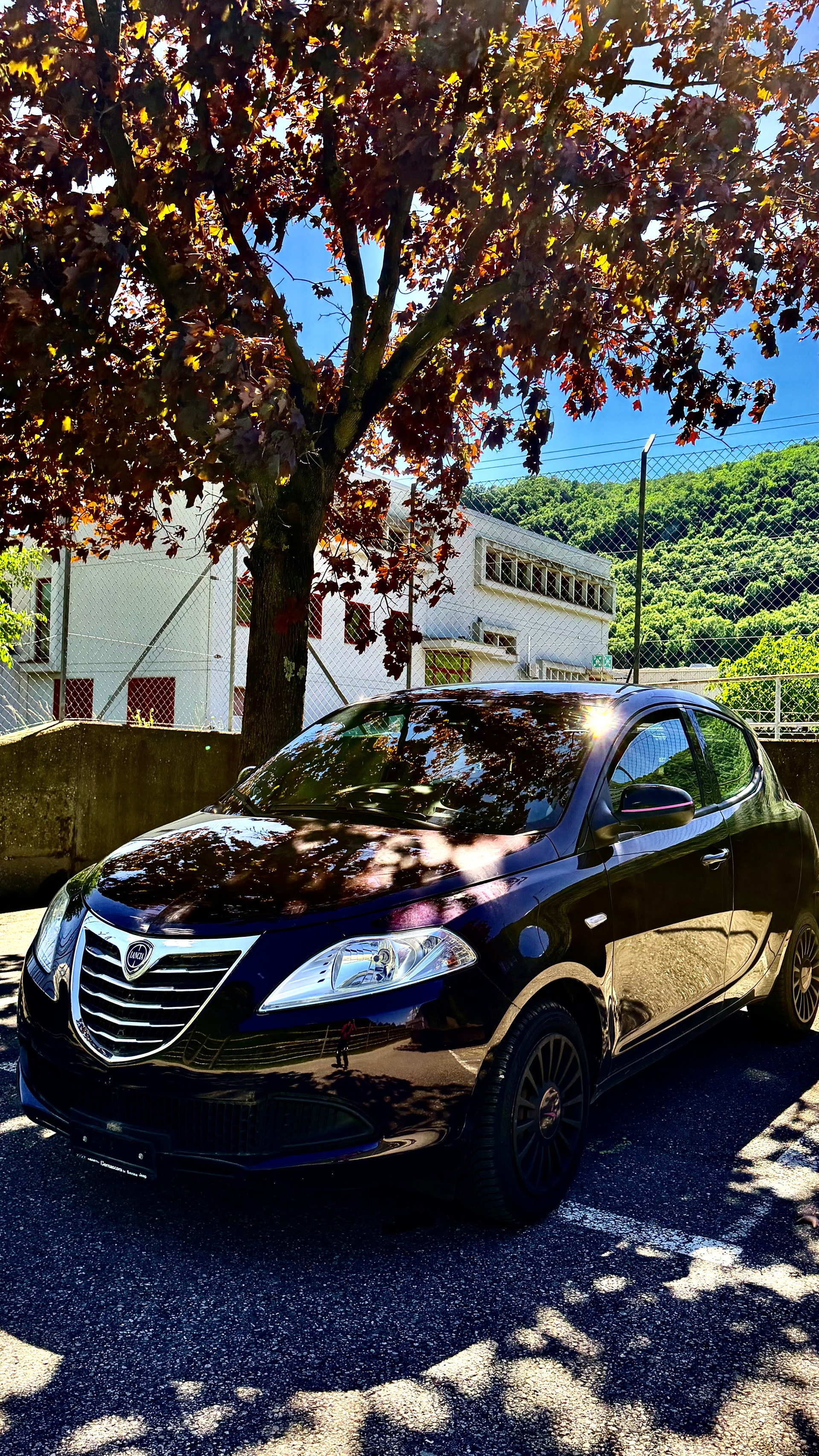 LANCIA Ypsilon 1.2 Gold-image-2