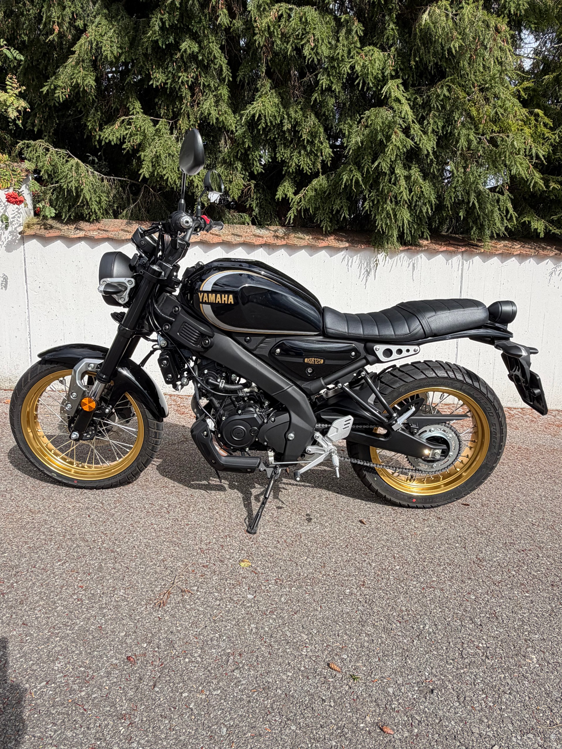 YAMAHA Legacy, MIZU Tieferlegung, Sattler, Puig (kleinere) Bremshebel wegen kleinerer Fahrerin-image-0