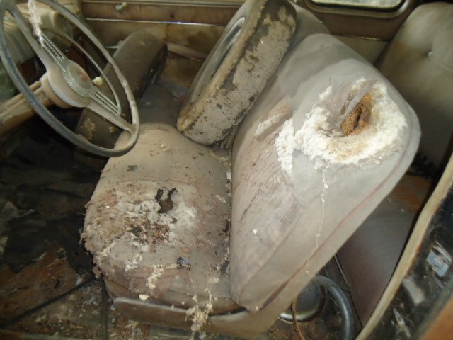 FORD Mercury V8-image-11