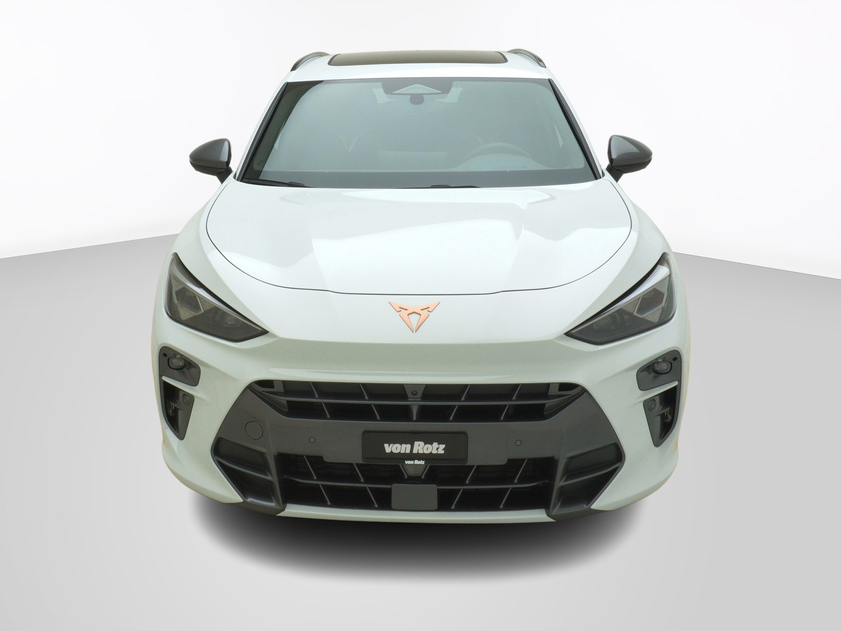 CUPRA Terramar 2.0 TSI VZ 4Drive DSG-image-6
