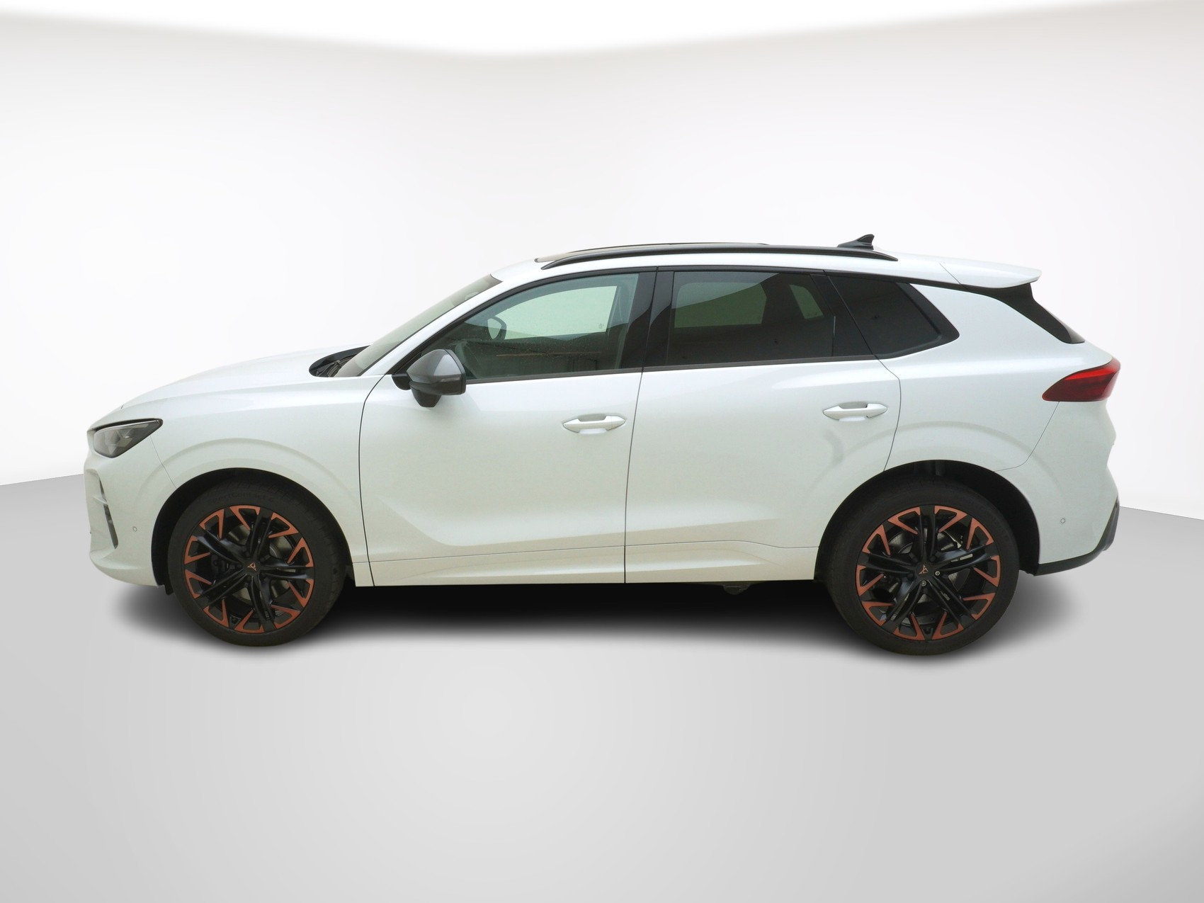 CUPRA Terramar 2.0 TSI VZ 4Drive DSG-showroom-element-1