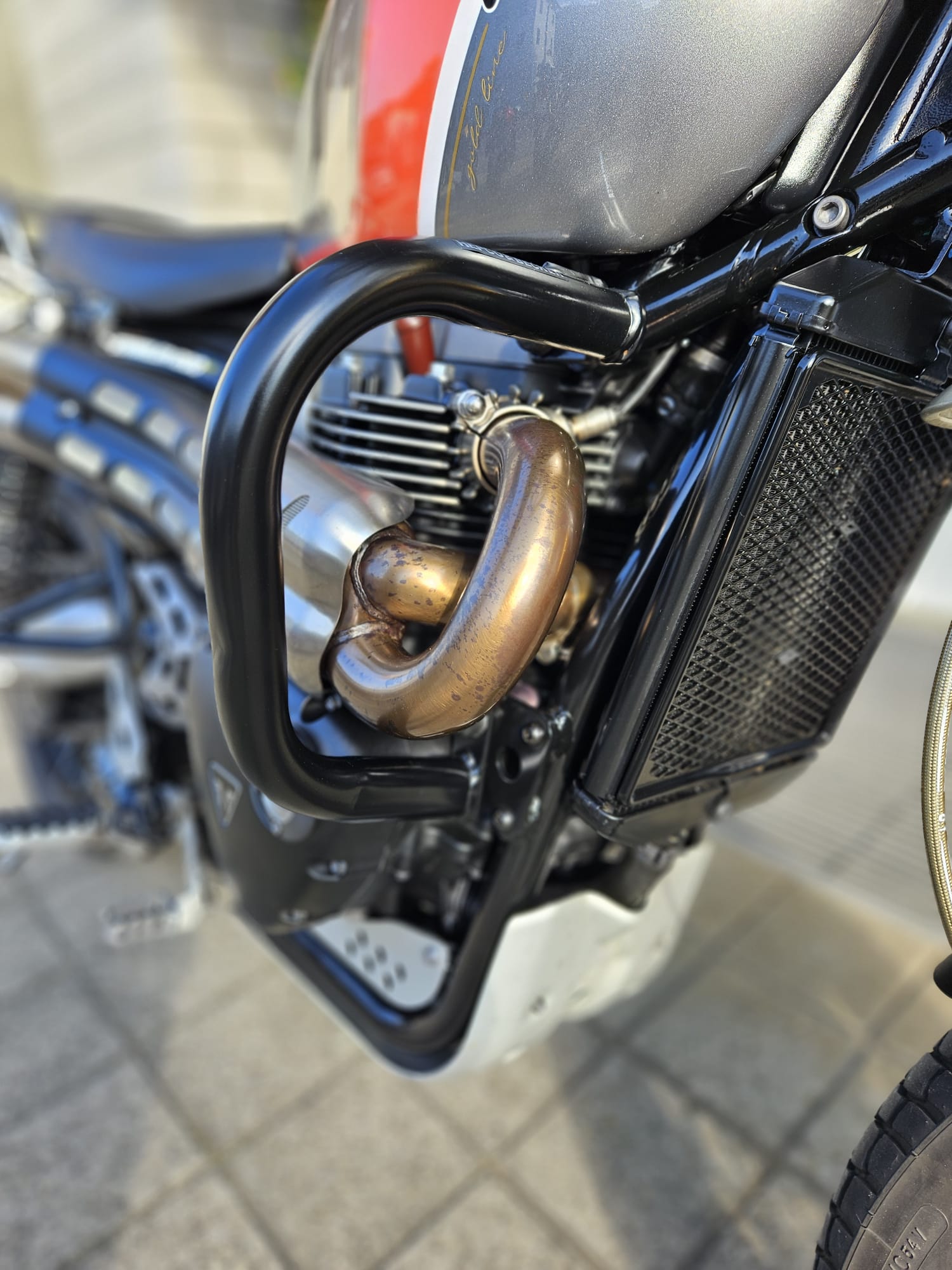 TRIUMPH Scrambler 1200 XE-image-12