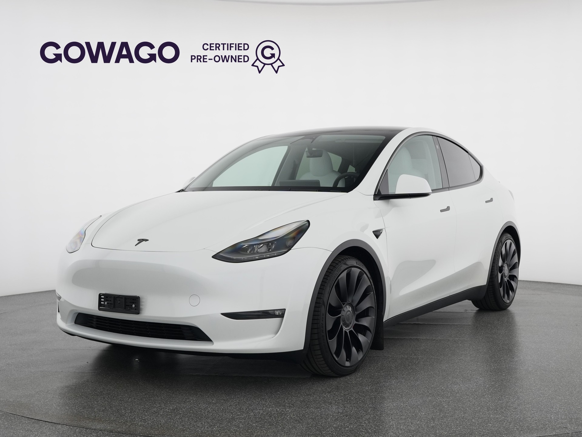 TESLA Model Y Long Range All-Wheel Drive Performance