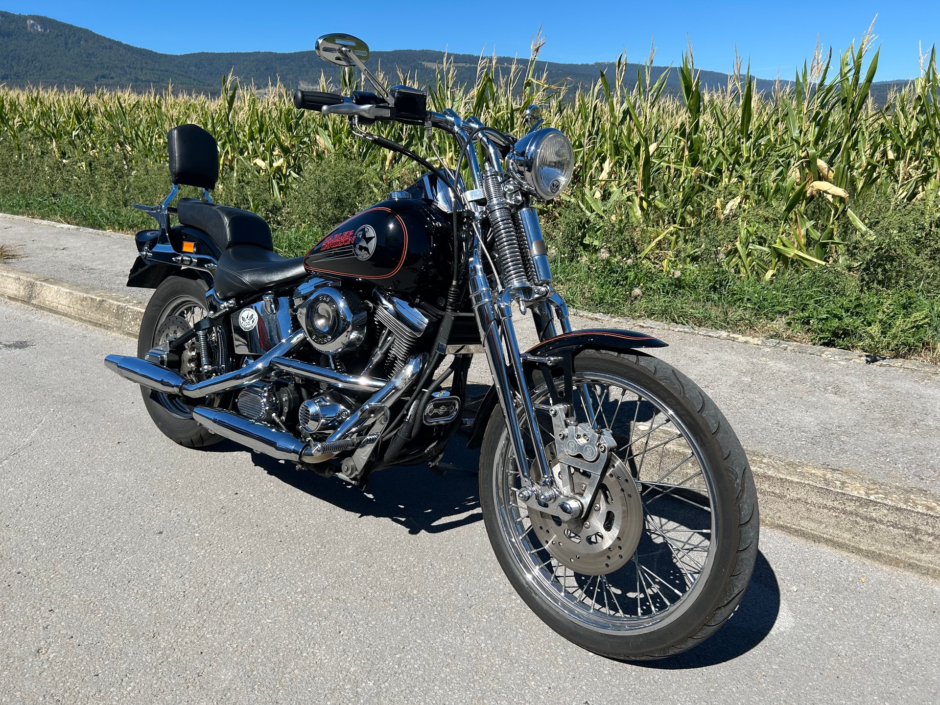 HARLEY-DAVIDSON FXSTS Springer Softail-image-0