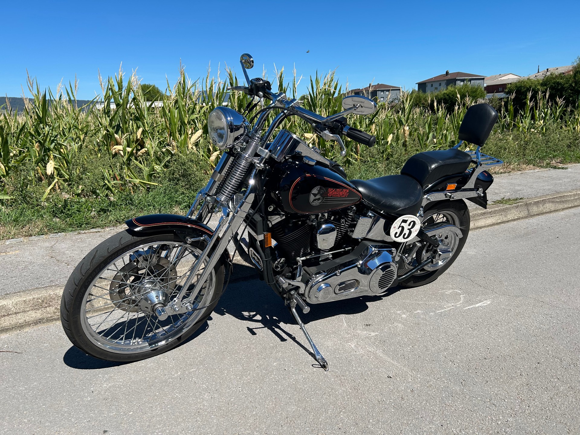 HARLEY-DAVIDSON FXSTS Springer Softail-image-5