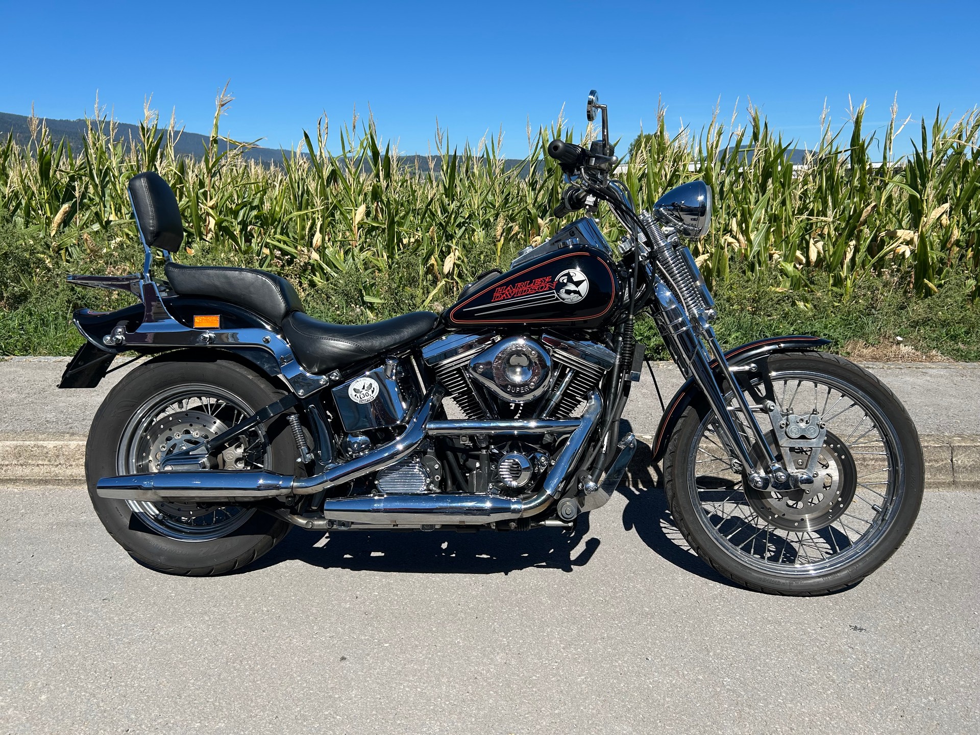 HARLEY-DAVIDSON FXSTS Springer Softail-image-1