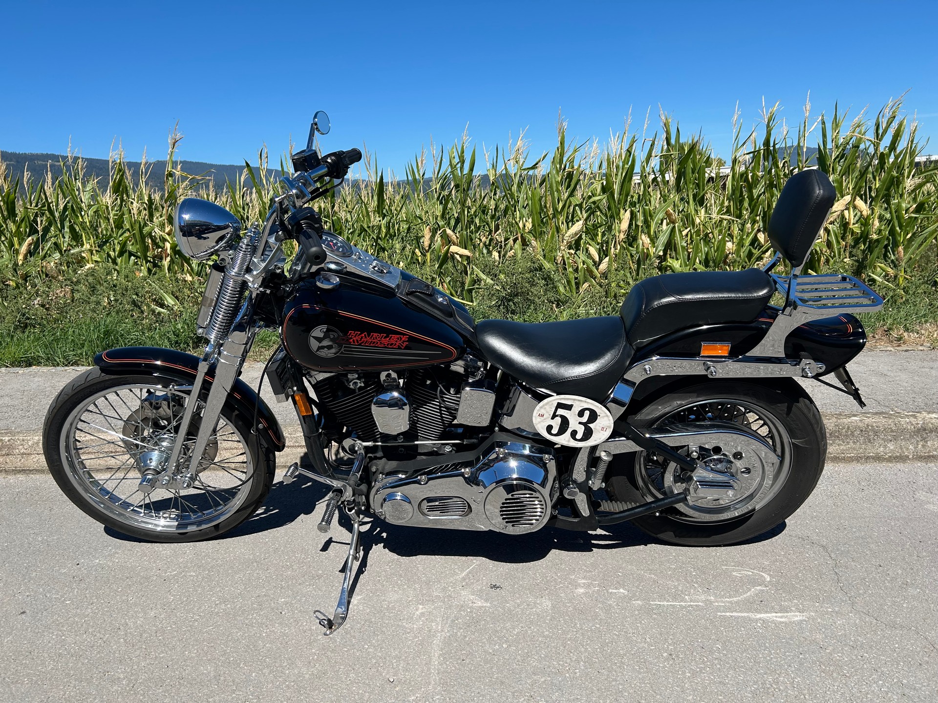 HARLEY-DAVIDSON FXSTS Springer Softail-image-4