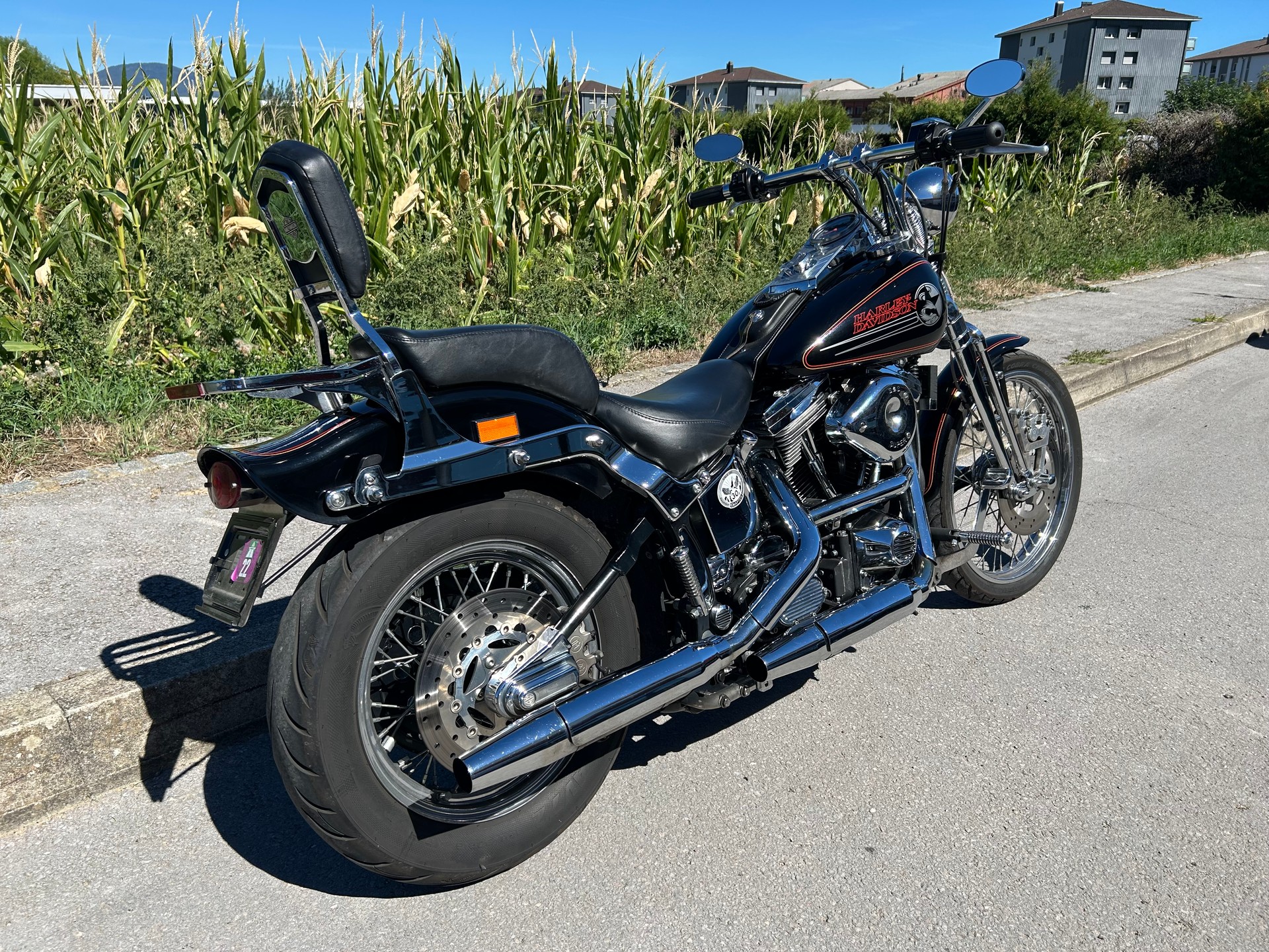 HARLEY-DAVIDSON FXSTS Springer Softail-image-2