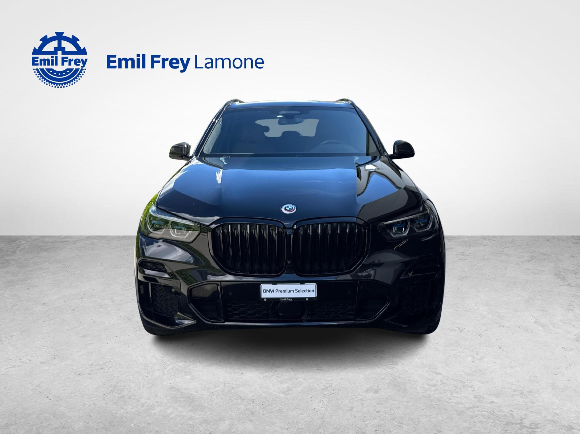 BMW X5 45e xDrive-image-8