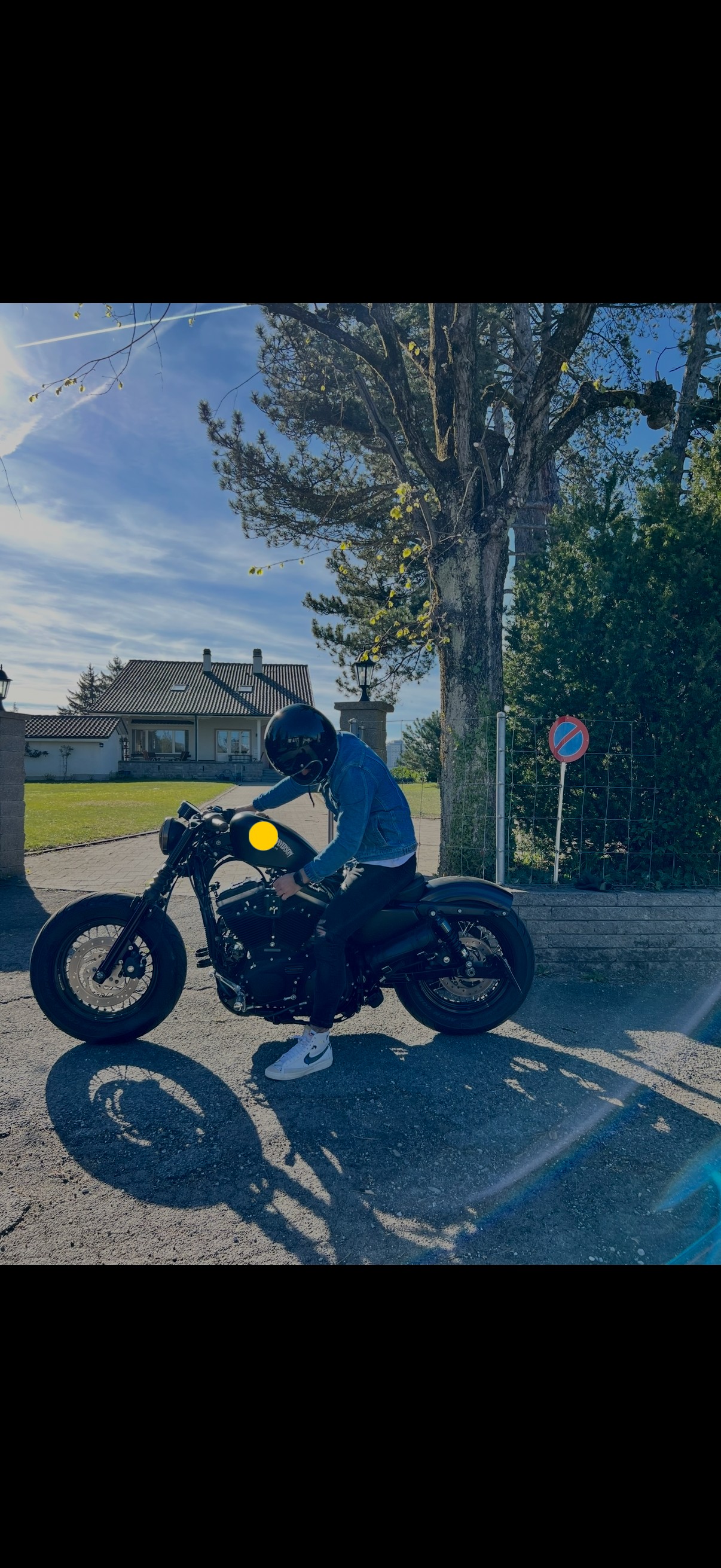 HARLEY-DAVIDSON XL 1200 X Forty Eight-image-2
