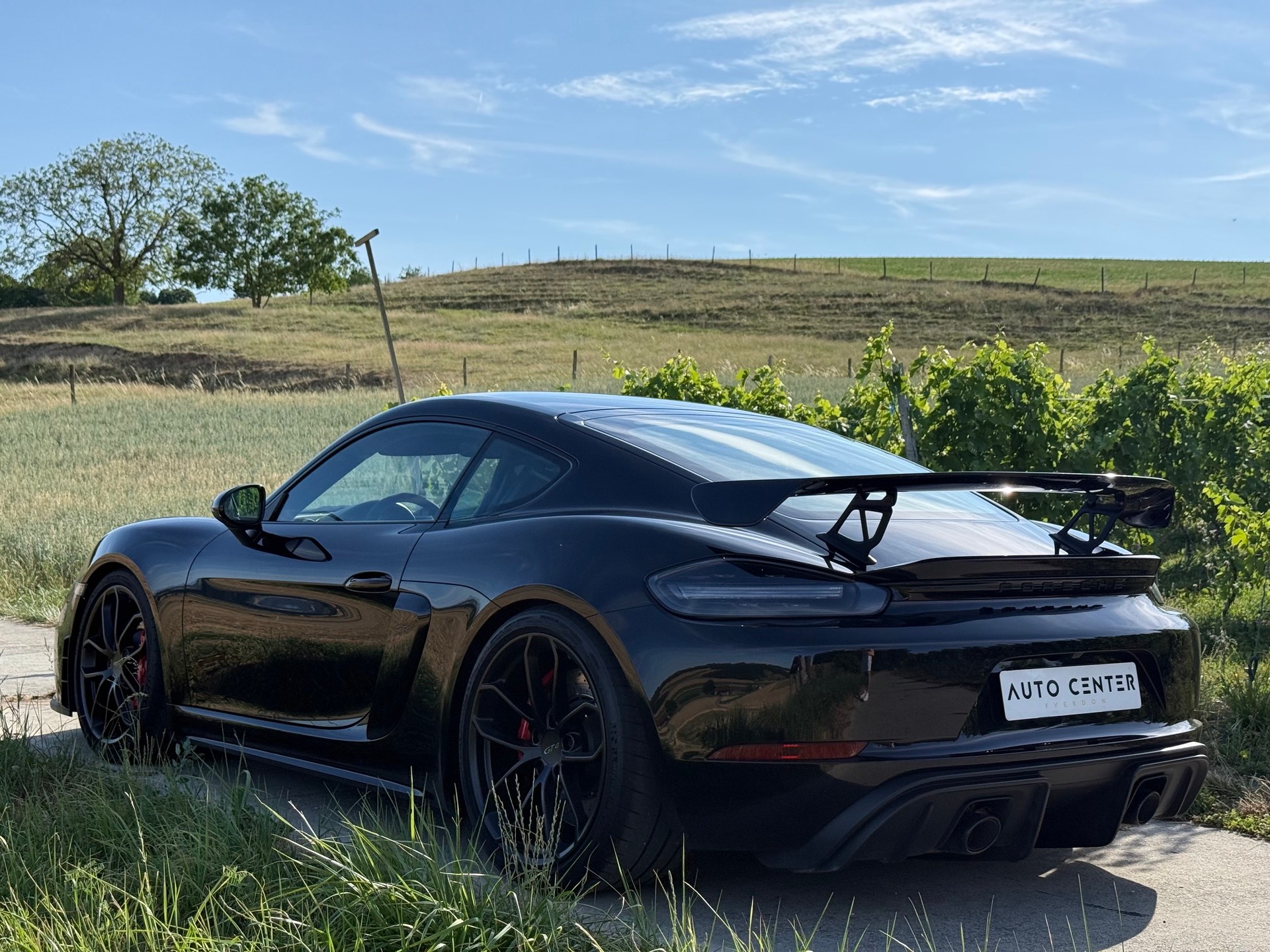 PORSCHE 718 Cayman GT4-showroom-element-3