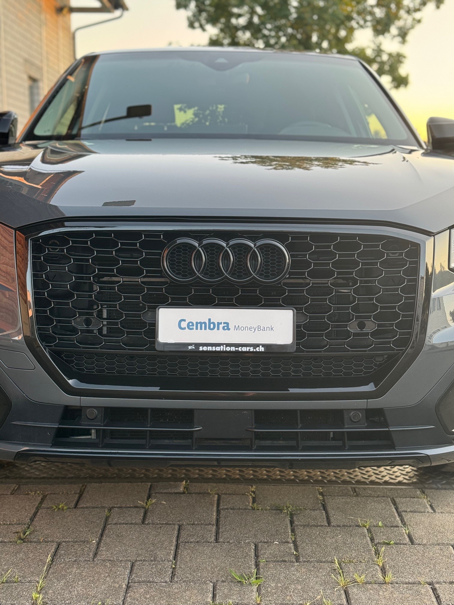 AUDI Q2 1.4 TFSI sport S-tronic-showroom-element-3