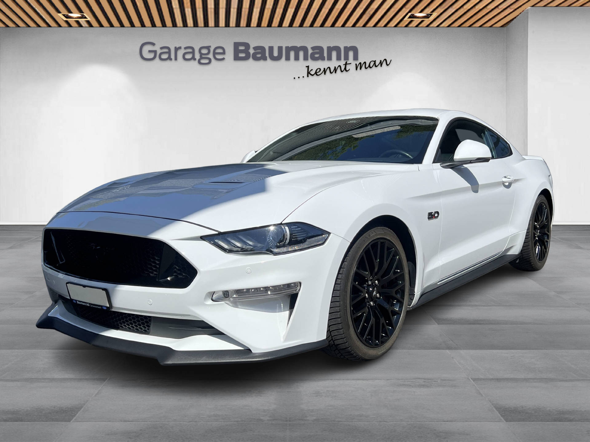 FORD Mustang Coupé 5.0 V8 GT-showroom-element-1