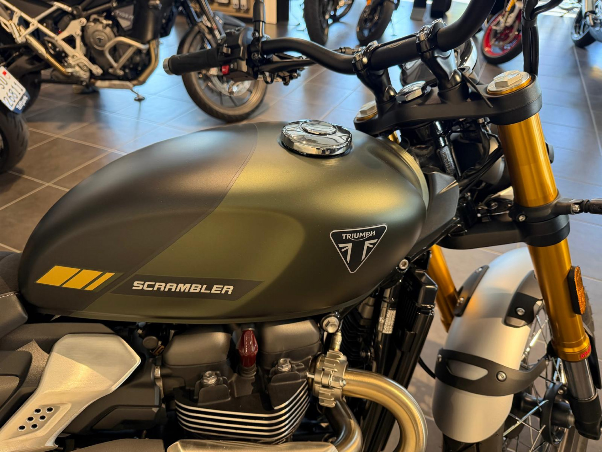 TRIUMPH Scrambler 900-image-3