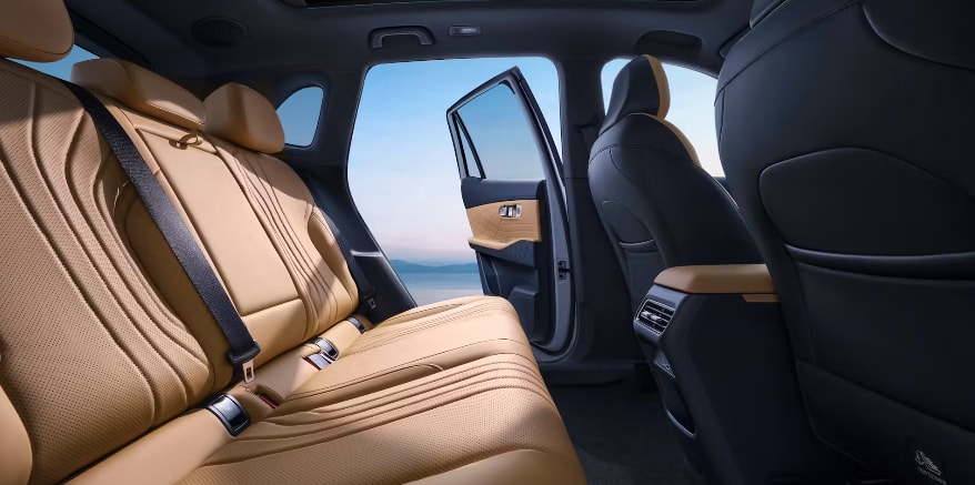 GEELY Starray EM-i Max+ PHEV-image-8