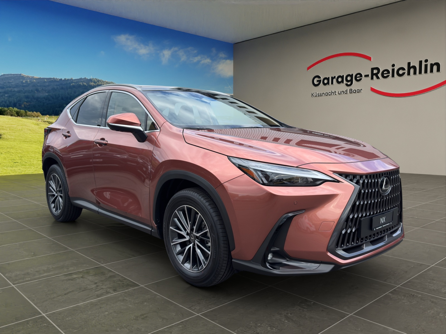 LEXUS NX 450h+ Comfort-showroom-element-2