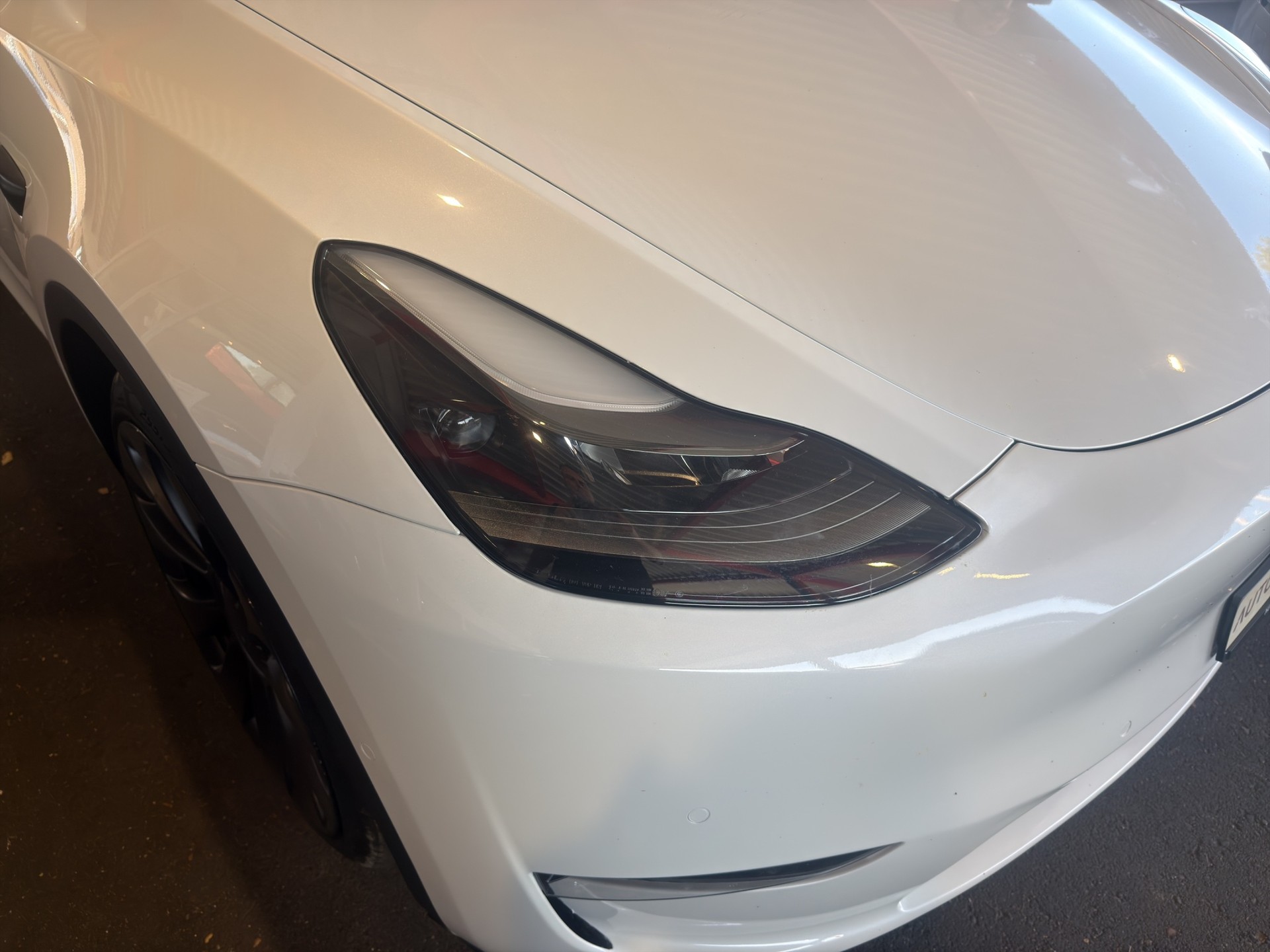 TESLA Model Y Performance D-image-38