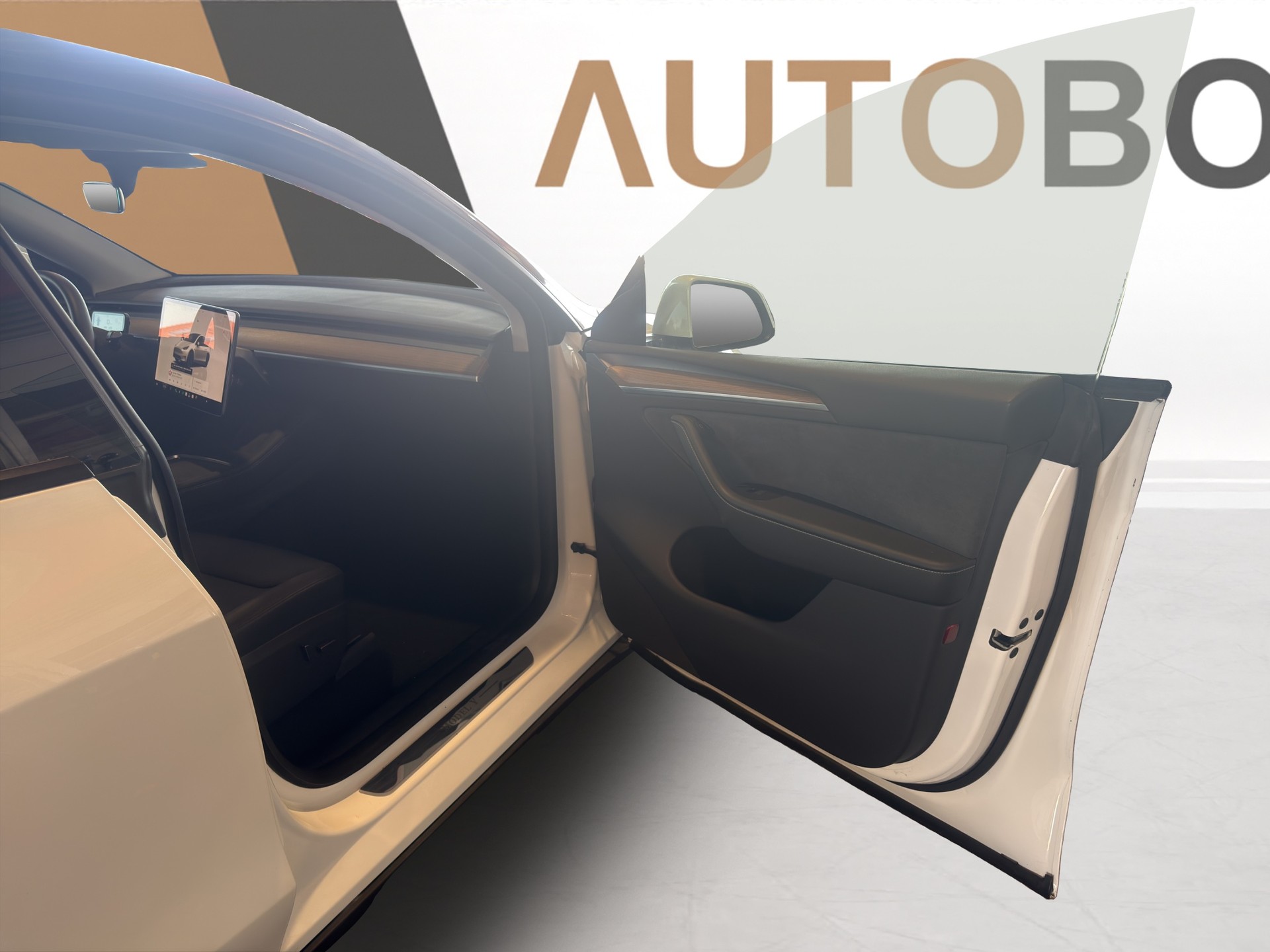 TESLA Model Y Performance D-image-13