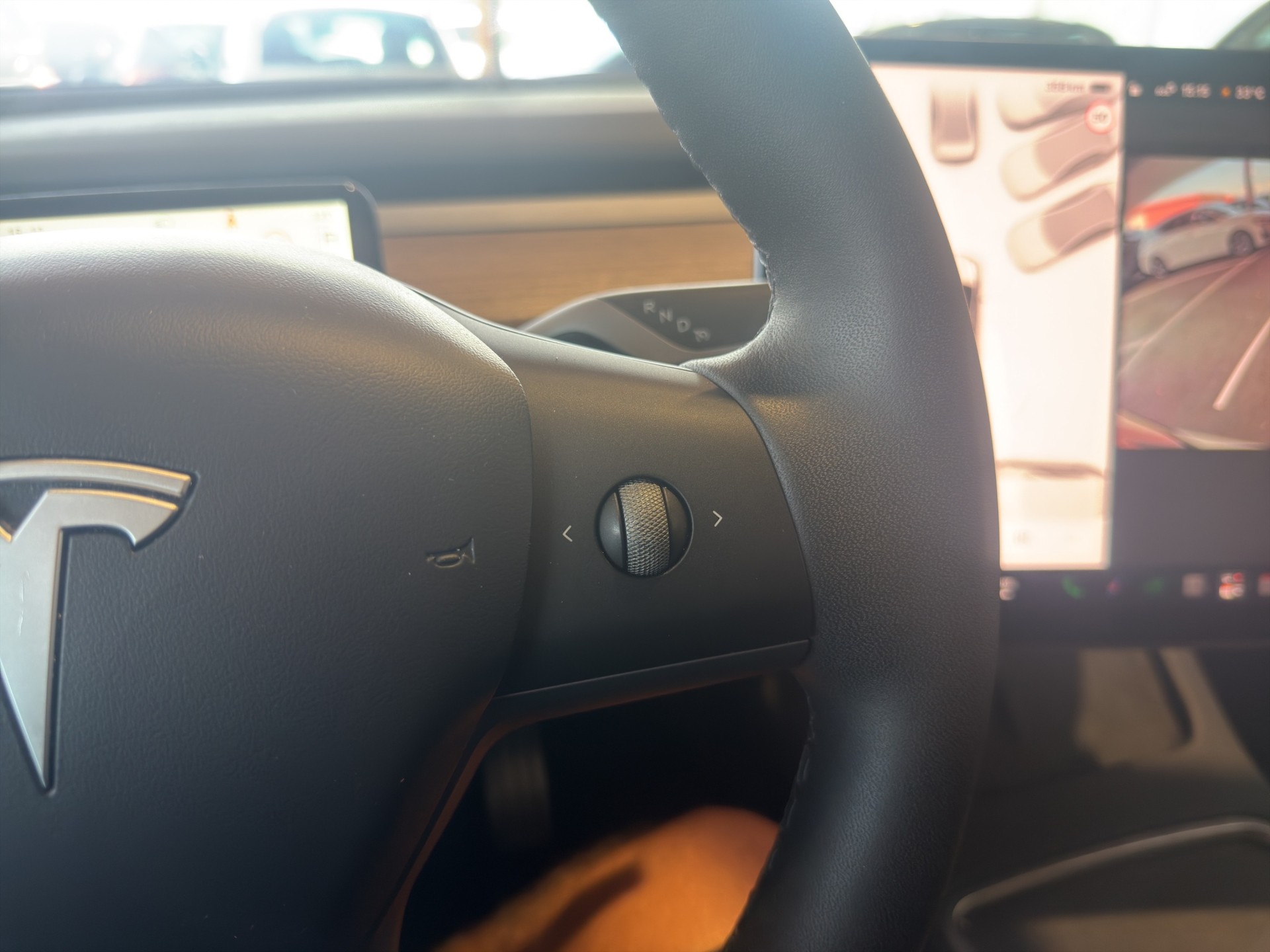 TESLA Model Y Performance D-image-45