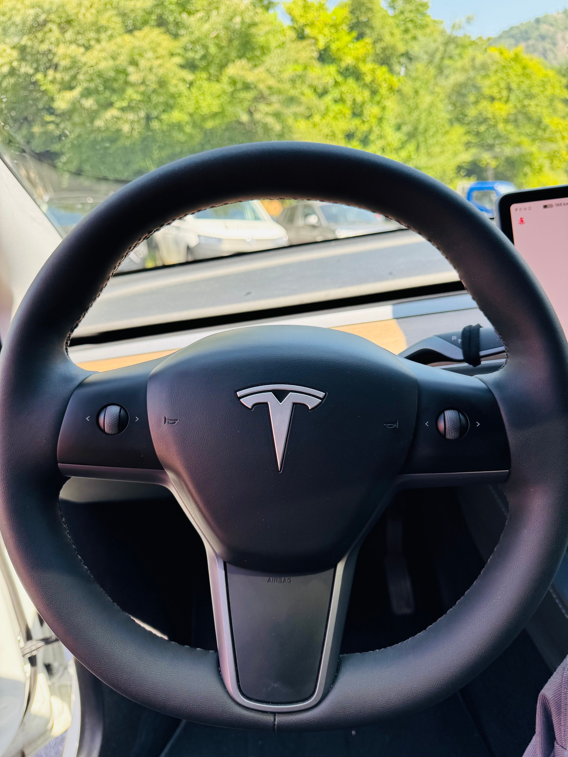 TESLA Model Y RWD-image-15