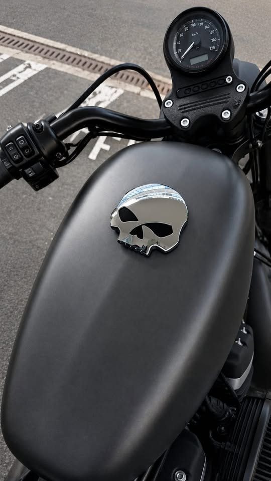 HARLEY-DAVIDSON XL 883 N Sportster Iron ABS-image-2