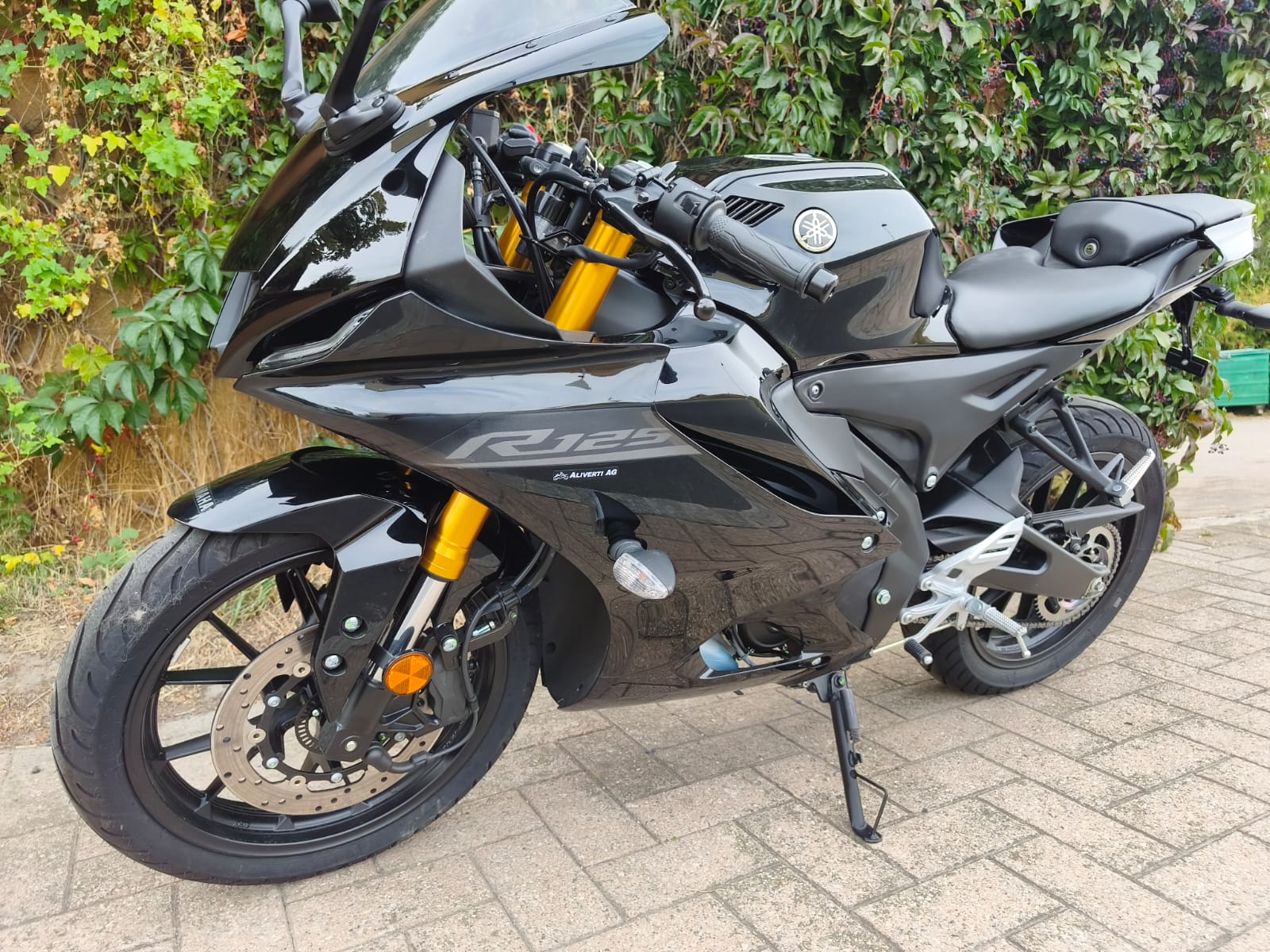YAMAHA YZF-R 125 ABS-image-9