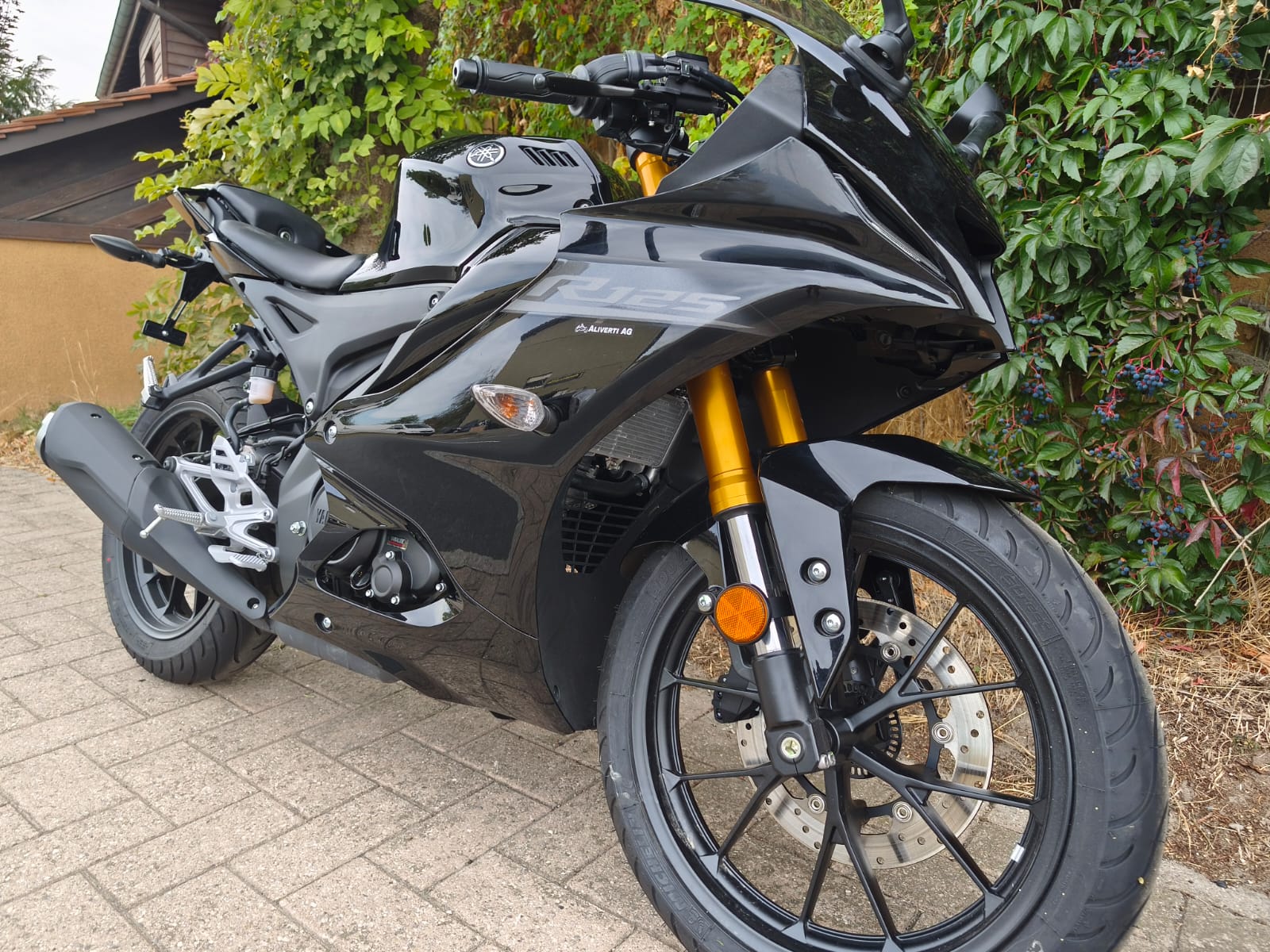 YAMAHA YZF-R 125 ABS-image-2