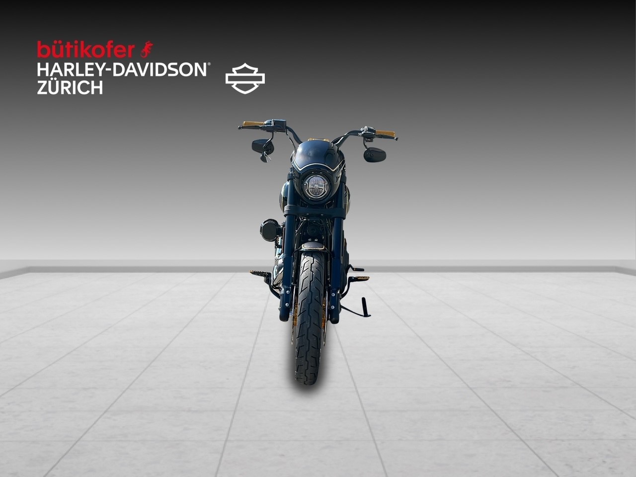 HARLEY-DAVIDSON FXLRS Low Rider S 117-image-1