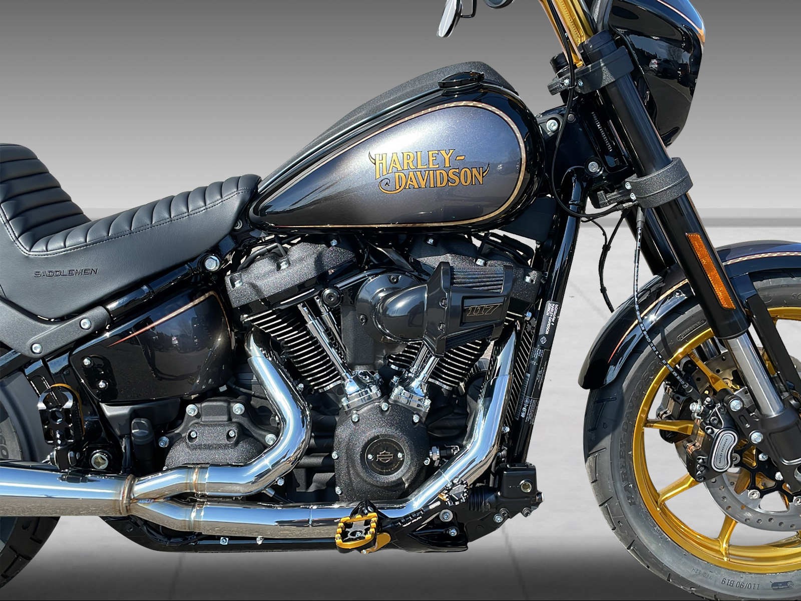 HARLEY-DAVIDSON FXLRS Low Rider S 117-image-8