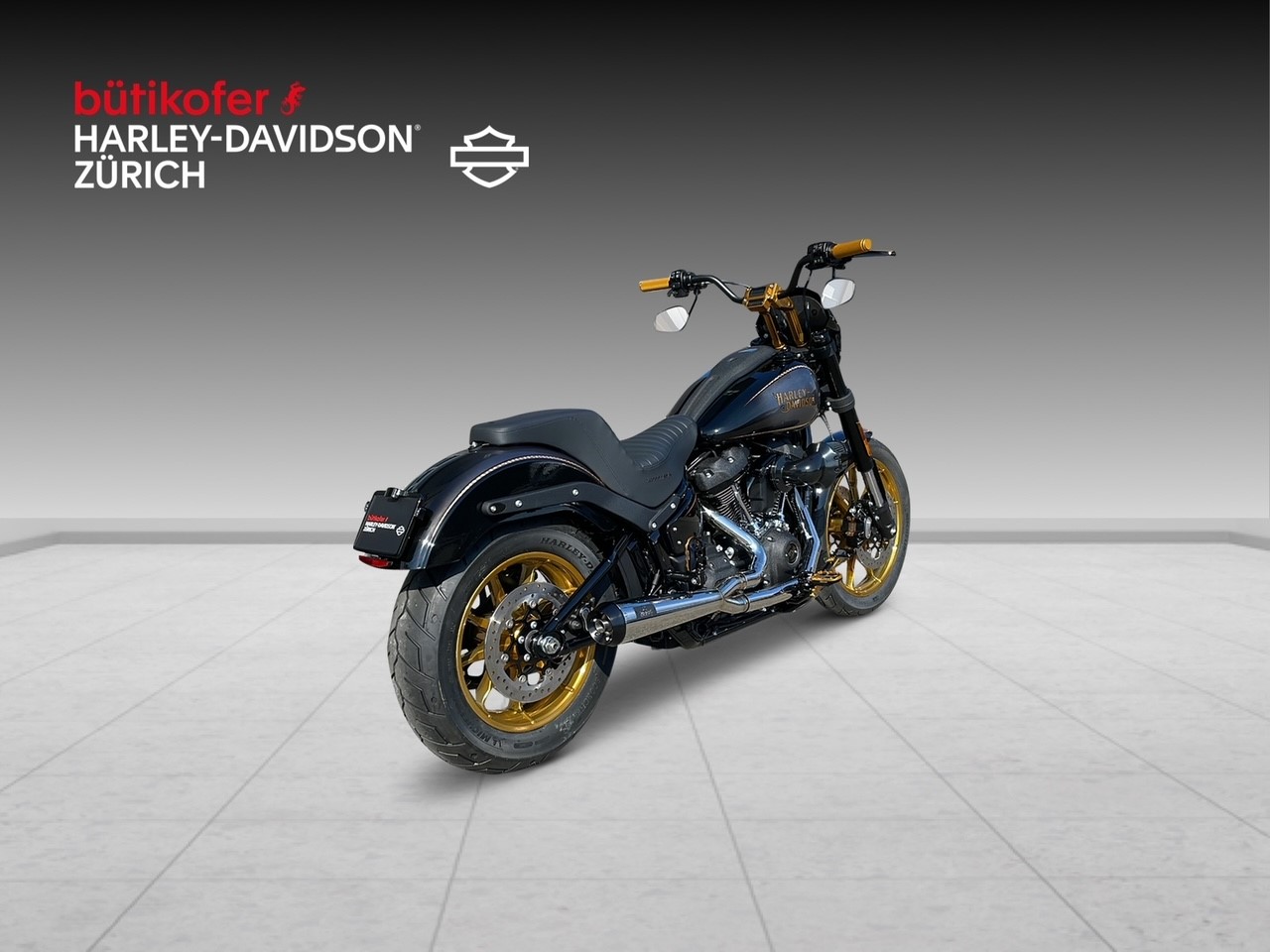 HARLEY-DAVIDSON FXLRS Low Rider S 117-image-5