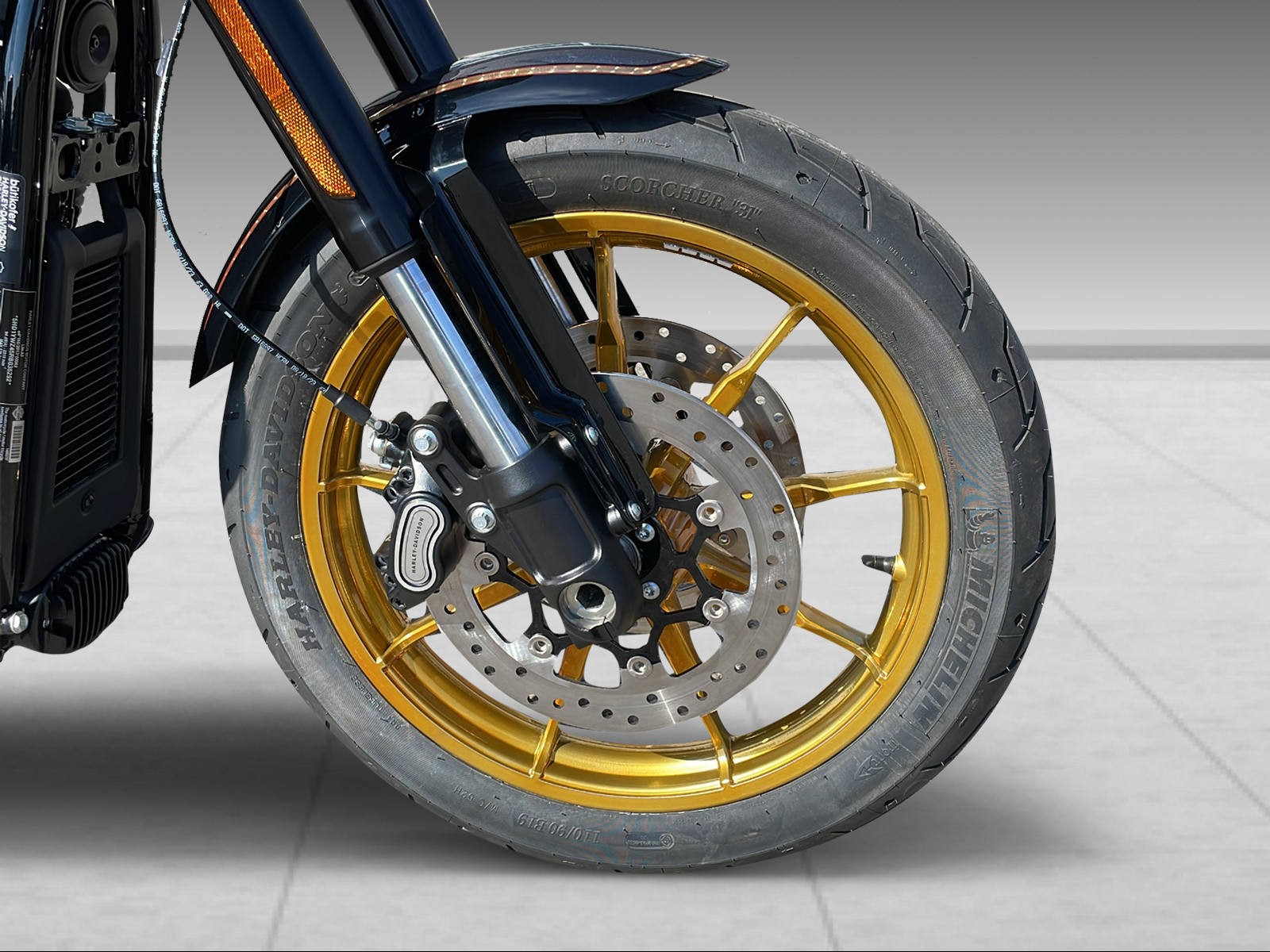 HARLEY-DAVIDSON FXLRS Low Rider S 117-image-6