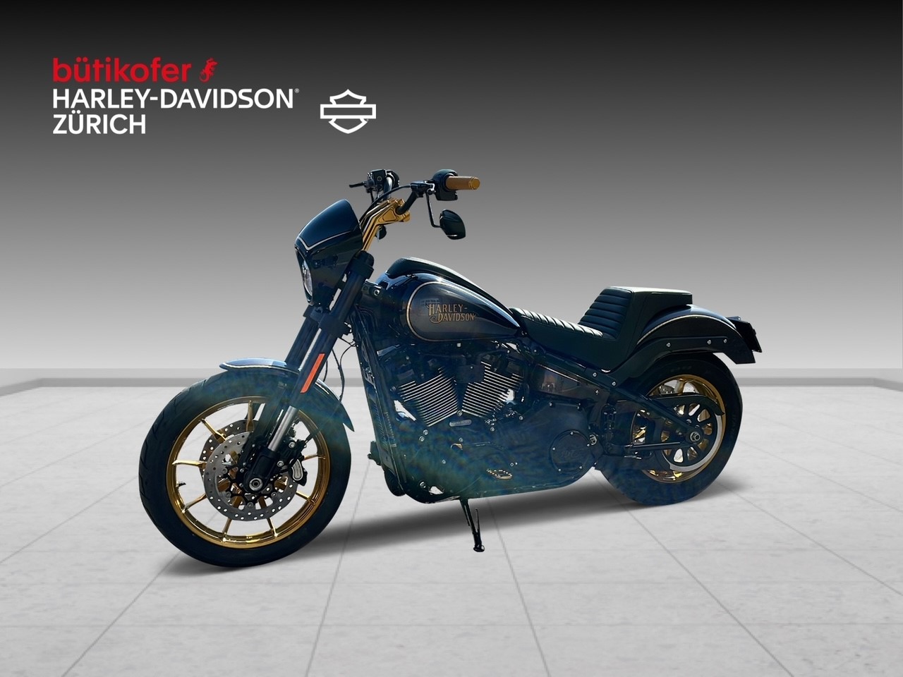 HARLEY-DAVIDSON FXLRS Low Rider S 117-image-2