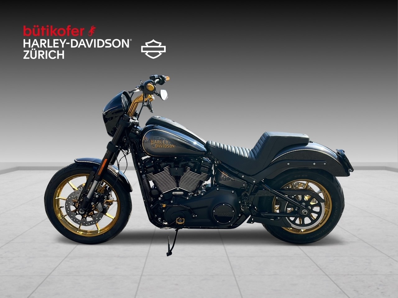 HARLEY-DAVIDSON FXLRS Low Rider S 117-image-3