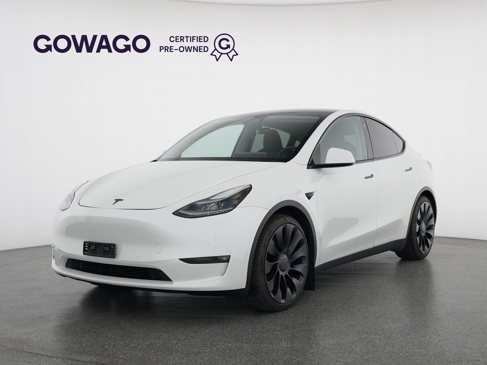 TESLA Model Y Performance