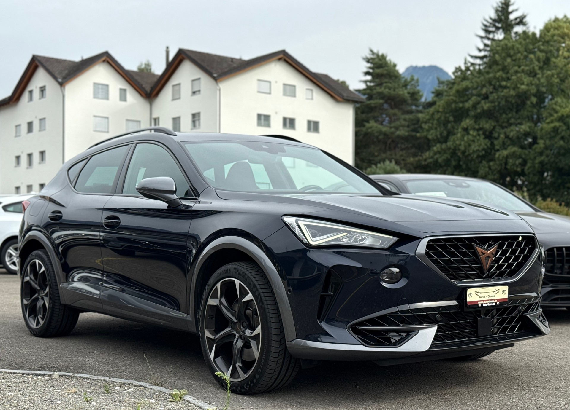 CUPRA Formentor 2.0 TSI VZ 4Drive DSG-showroom-element-3