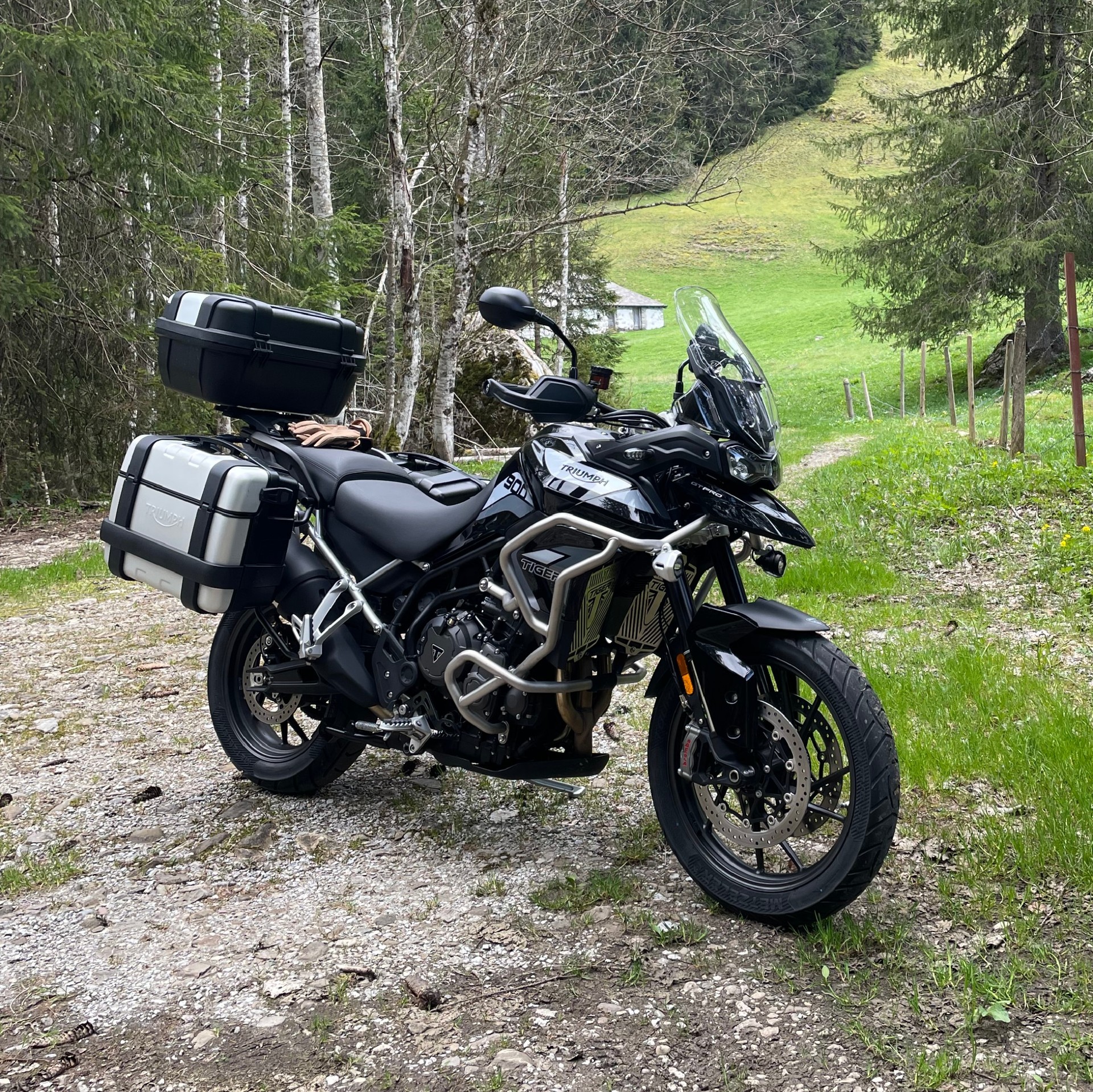 TRIUMPH Tiger 900 GT Pro-image-2