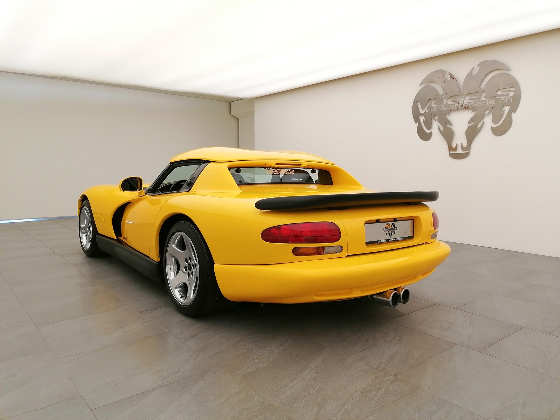 DODGE Viper RT/10 Targa-image-5