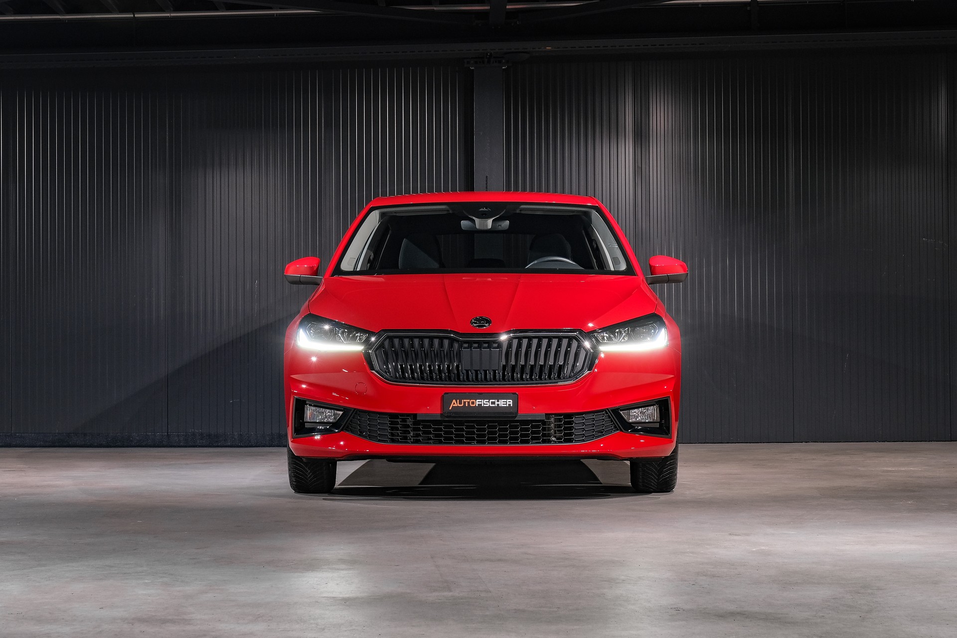 SKODA Fabia 1.0 TSI Selection DSG-showroom-element-2