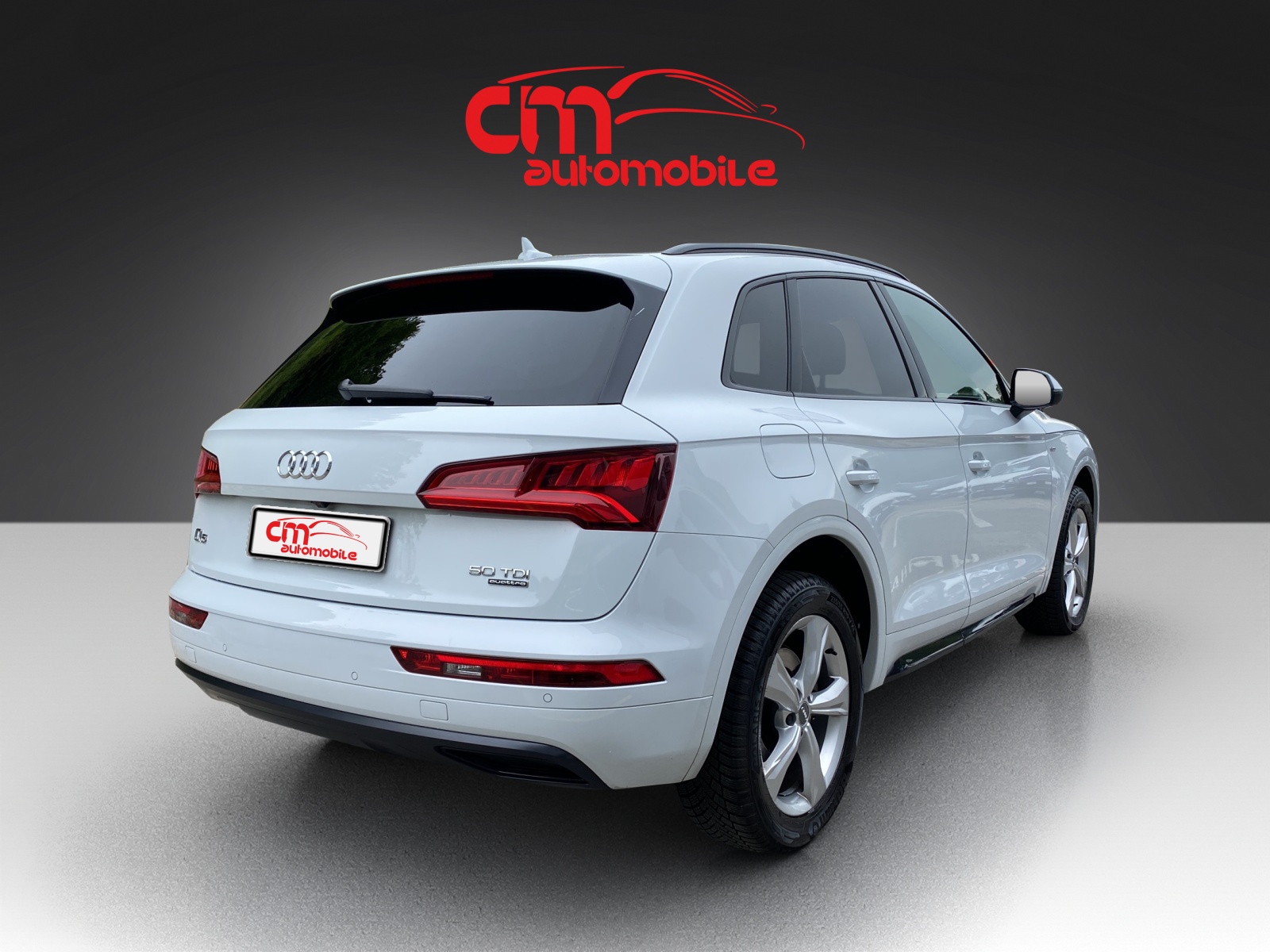 AUDI Q5 50 TDI sport quattro tiptronic-showroom-element-2