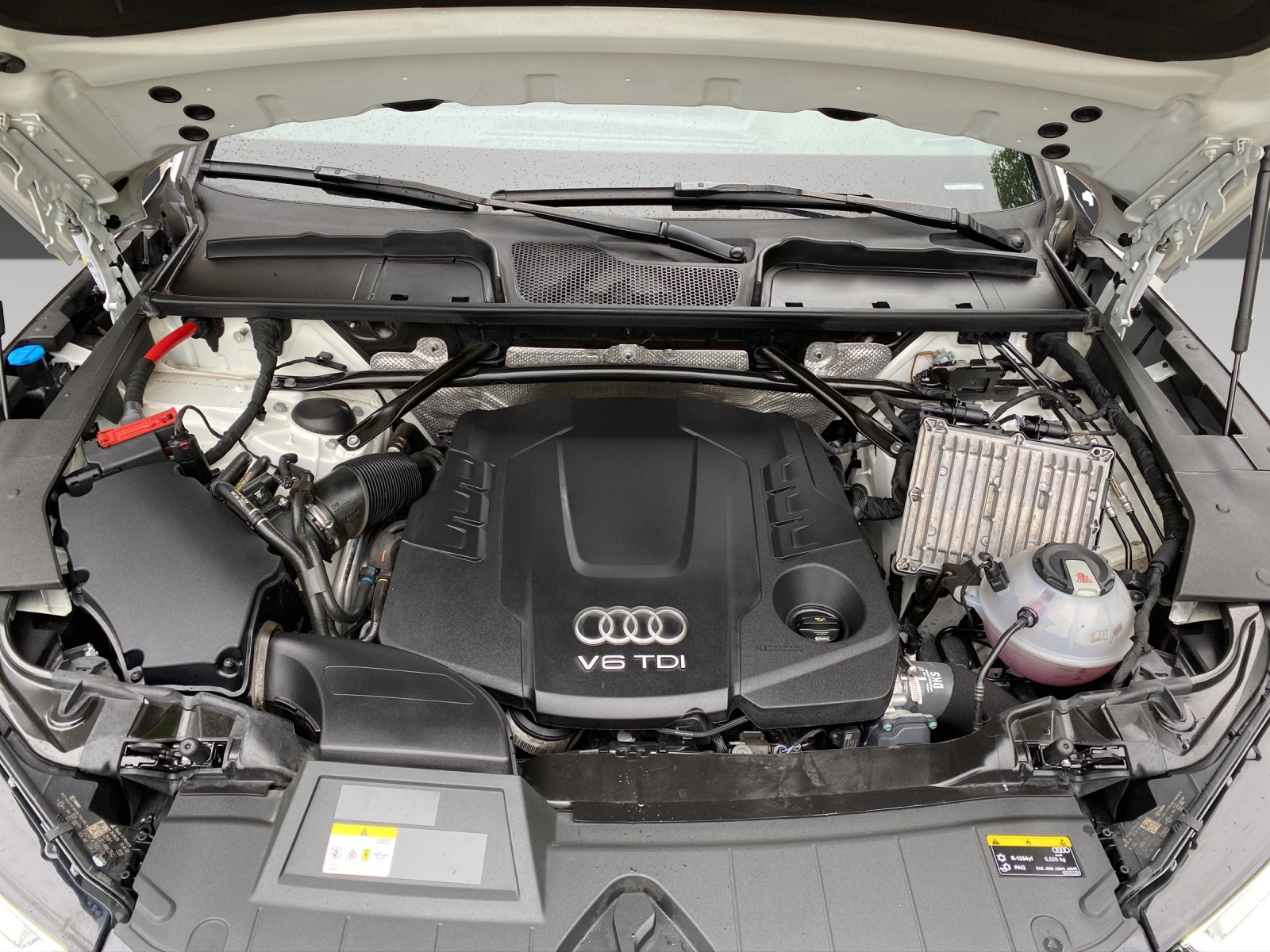 AUDI Q5 50 TDI sport quattro tiptronic-image-21