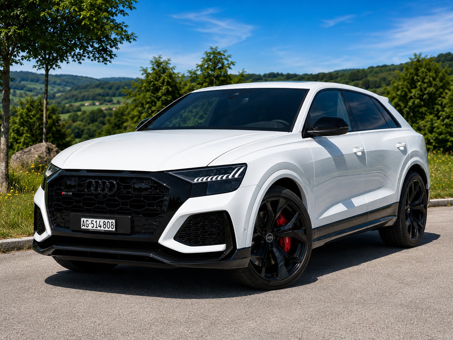 AUDI AUDI RSQ8 quattro tiptronic Dynamic Plus 305km/h