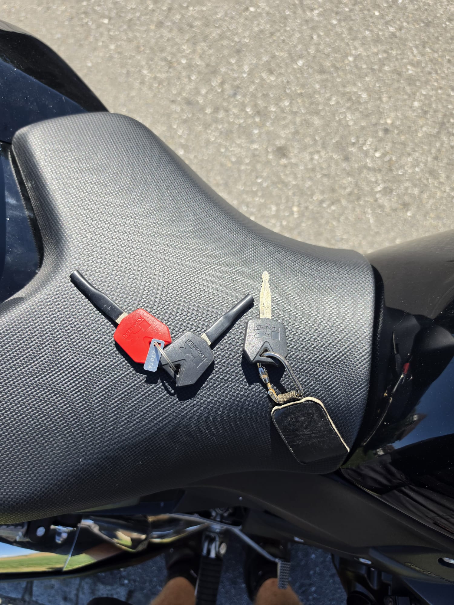 KAWASAKI Z 1000 ABS-image-10